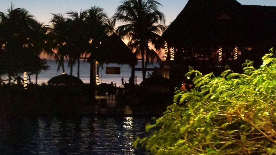 1530554_284683048346071_507429299_n