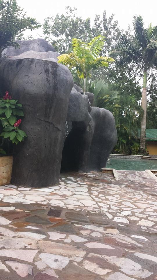 64582_284684398345936_1614596337_n