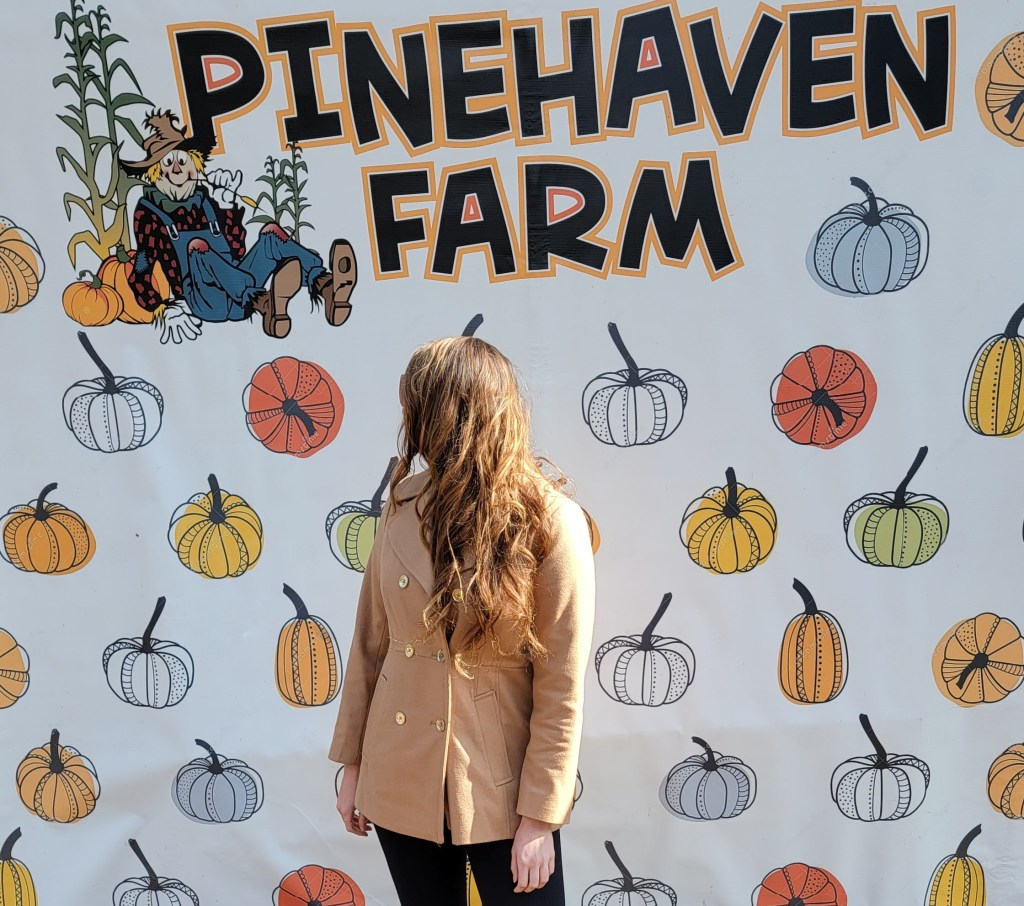Pinehaven Farm: Let the Gourd Times&nbsp;Roll!