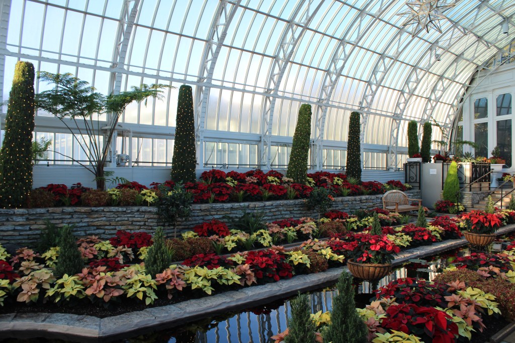 The Sunken Garden Uplifts Visiting Spirits with Christmas&nbsp;Colors