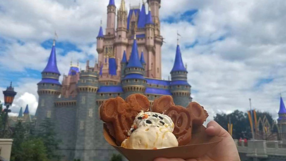 Disney Vacation and Disney College Program&nbsp;Memories