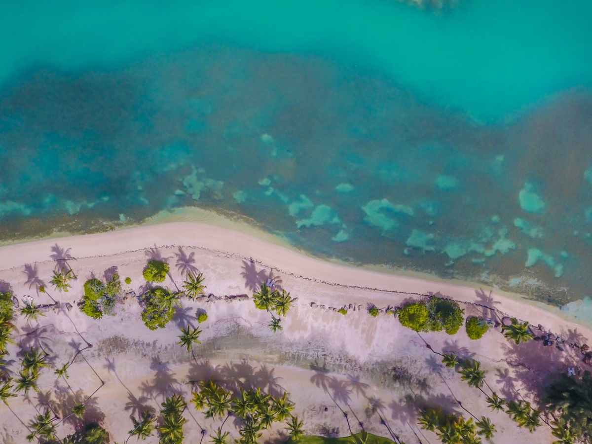 Ocean Reiki in Puerto&nbsp;Vallarta